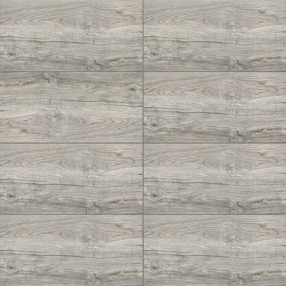 Dakota Gray 30×60 R9 – izgled pločice, STAS šifra 58695
