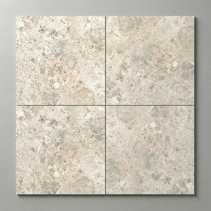 Terrazzo new rect. 60×60 – izgled pločice, STAS šifra 58713
